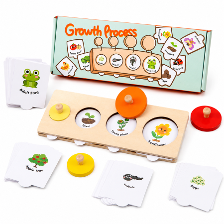 Jucarii Interactive & Sensoriale - Puzzle Montessori – Descoperă Ciclurile de Viață ale Plantelor și Animalelor