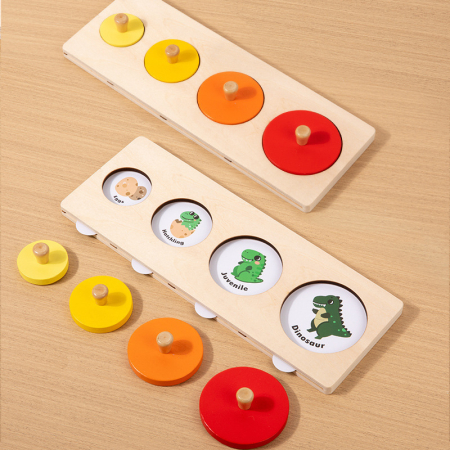 Puzzle Montessori – Descoperă Ciclurile de Viață ale Plantelor și Animalelor [1]