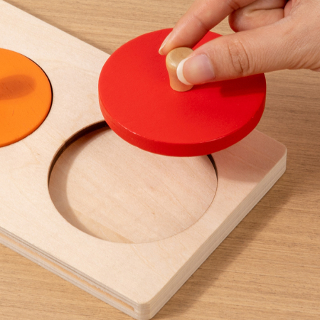 Puzzle Montessori – Descoperă Ciclurile de Viață ale Plantelor și Animalelor [5]