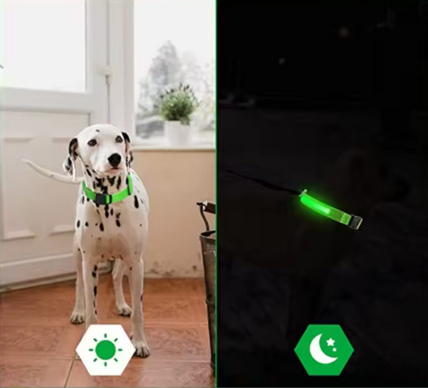 Zgardă LED Electronică Reglabilă – Siguranță și Stil pentru Animalele Tale [2]