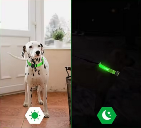 Zgardă LED Electronică Reglabilă – Siguranță și Stil pentru Animalele Tale [1]
